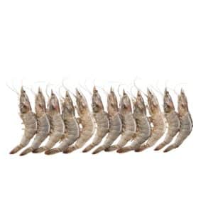 Camaron Jumbo U12 Alta Mar Nacional